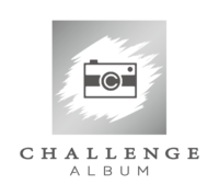 CHALLENGE ALBUM_tate1_silver_sq