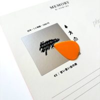 IMG_7505 IMG_7505